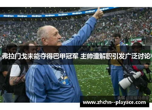弗拉门戈未能夺得巴甲冠军 主帅遭解职引发广泛讨论
