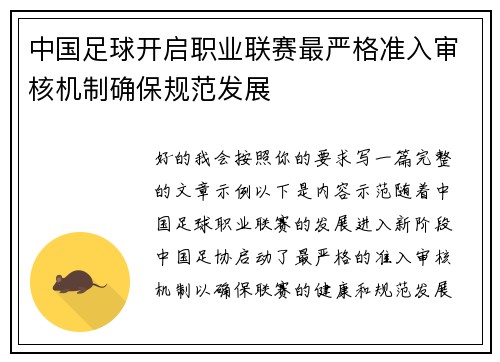 中国足球开启职业联赛最严格准入审核机制确保规范发展