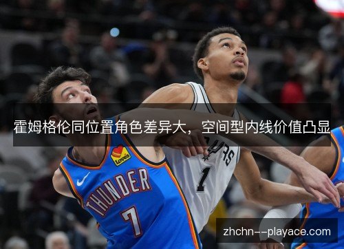 霍姆格伦同位置角色差异大，空间型内线价值凸显
